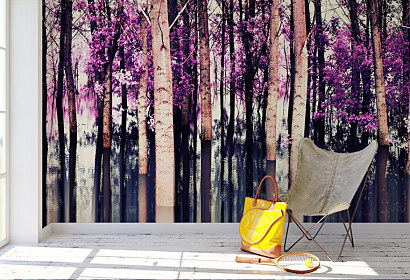 Fototapeta Mystický les 2013